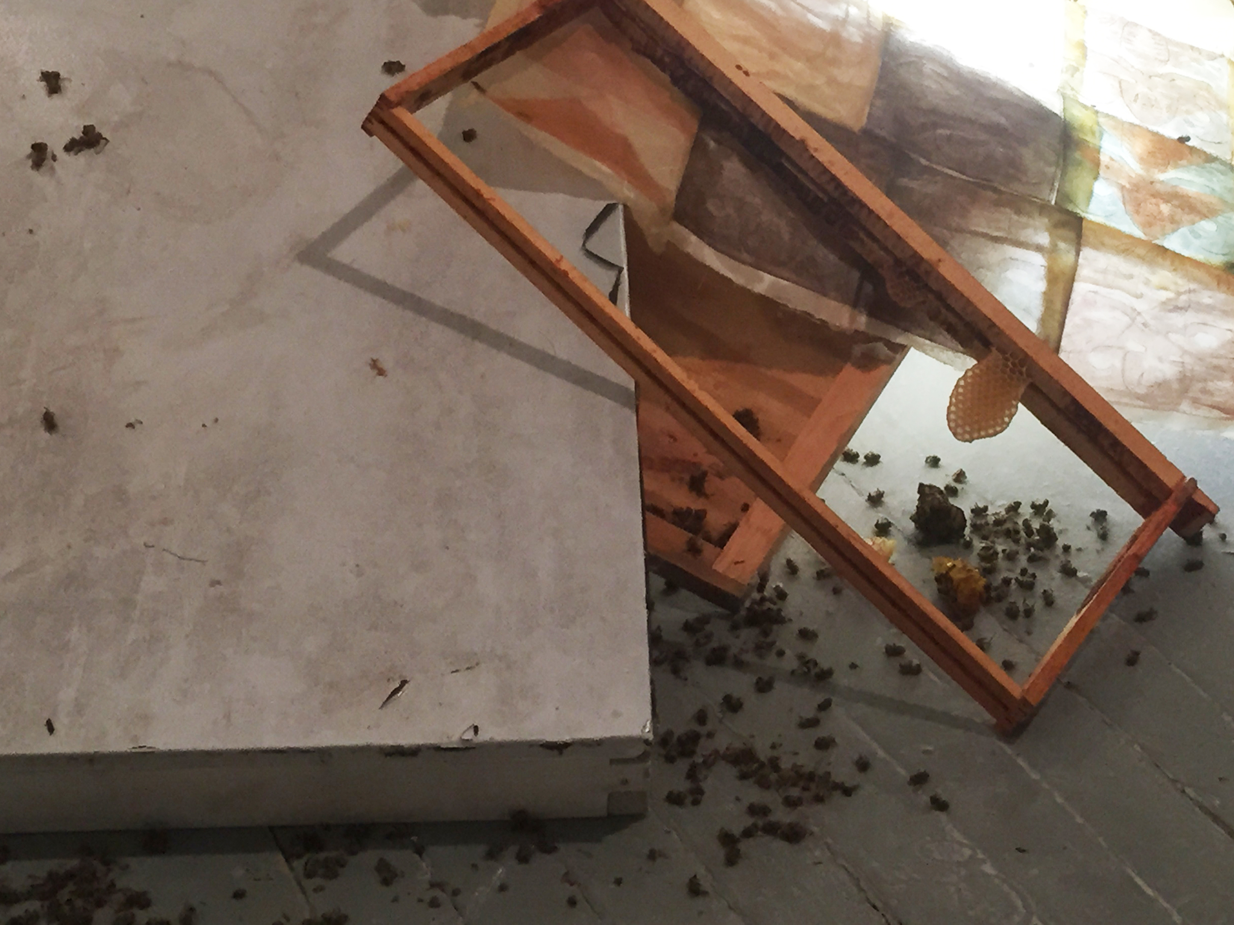 Hive_aVanishingreliquary3.jpg