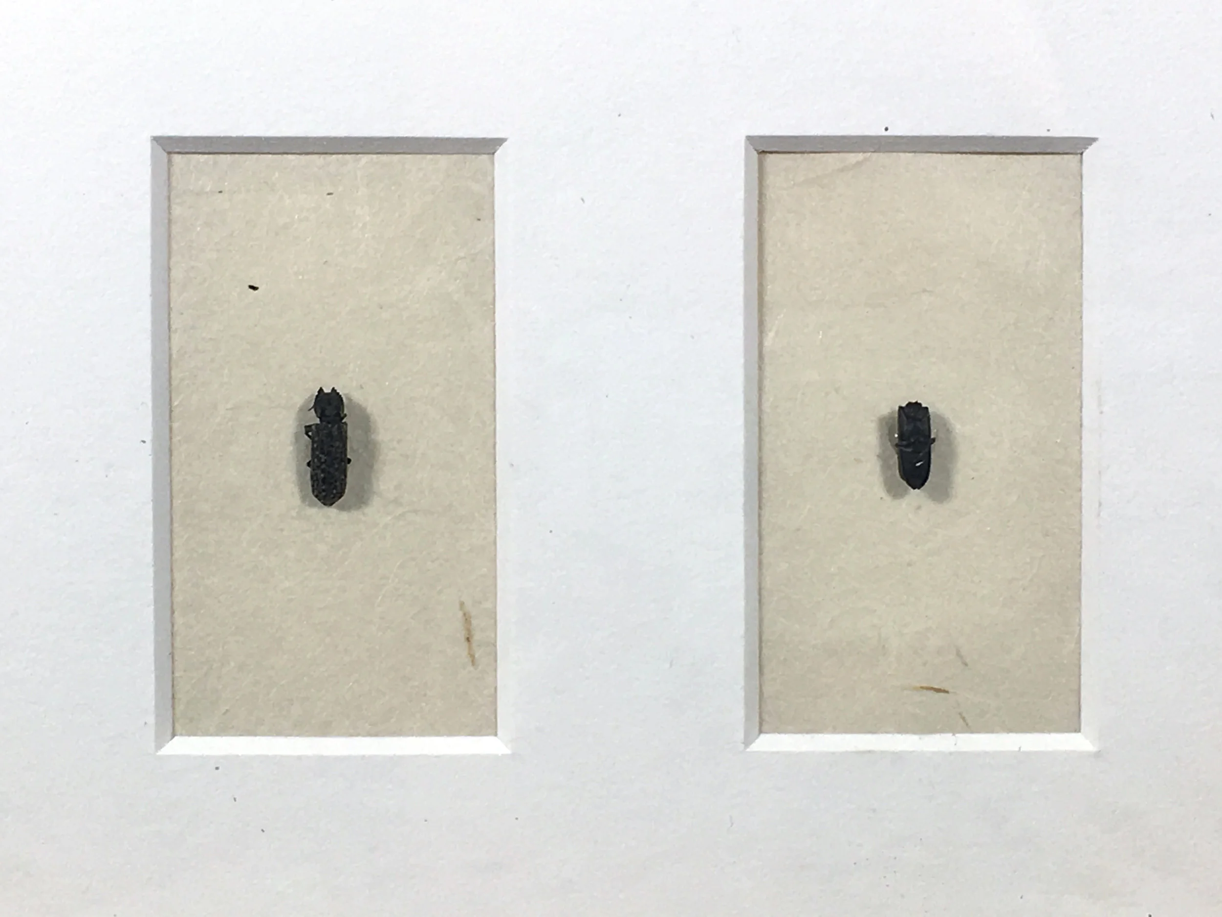 SharedSpace_detail4.jpg