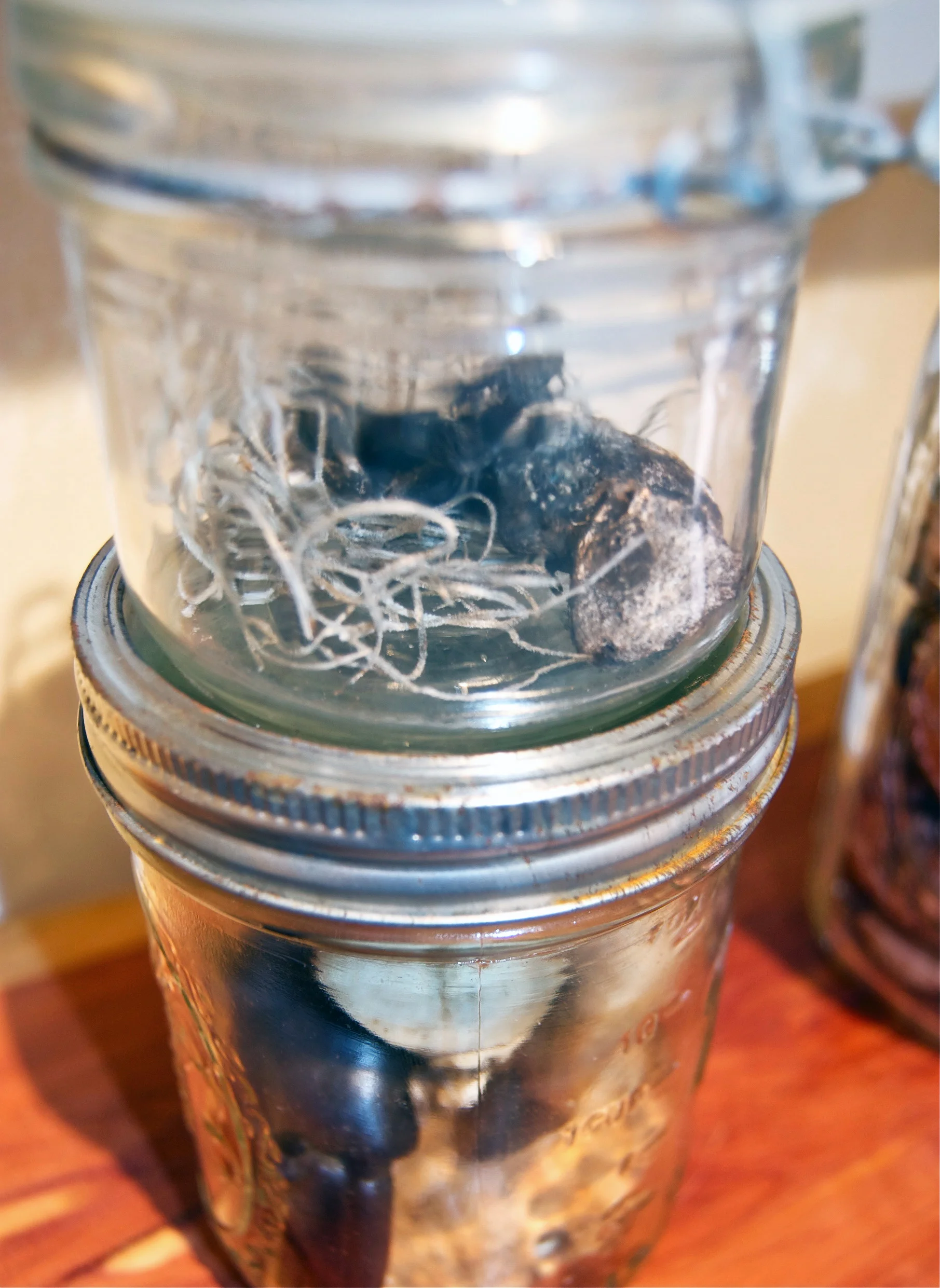 Preserved03.jpg