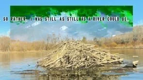 A Subscendence of Sticks