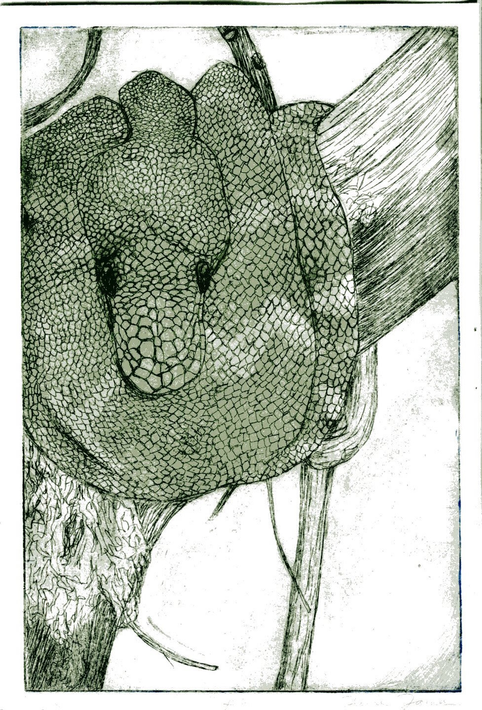  Intaglio FA2015 