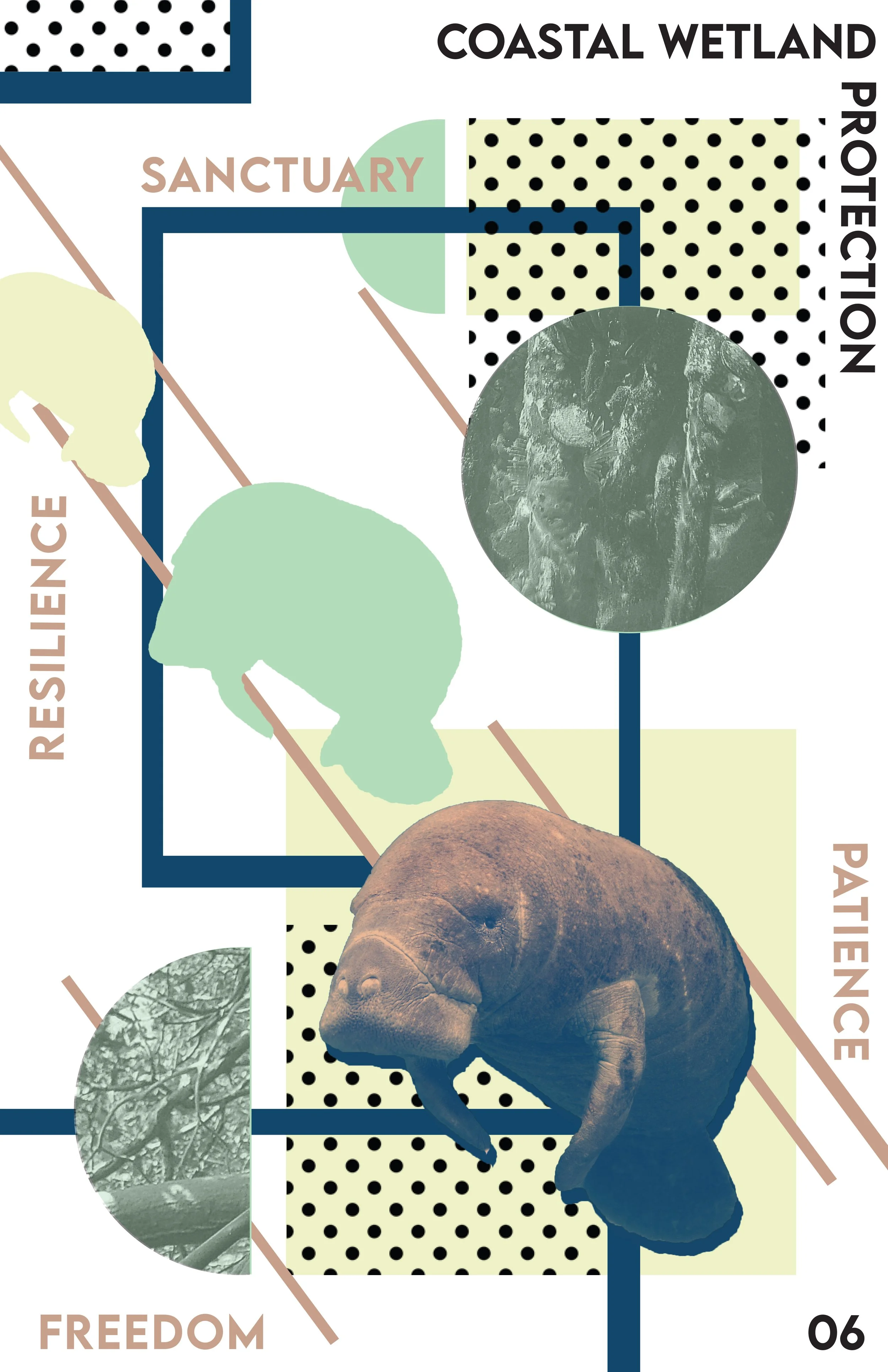 Poster Design Fall 2021