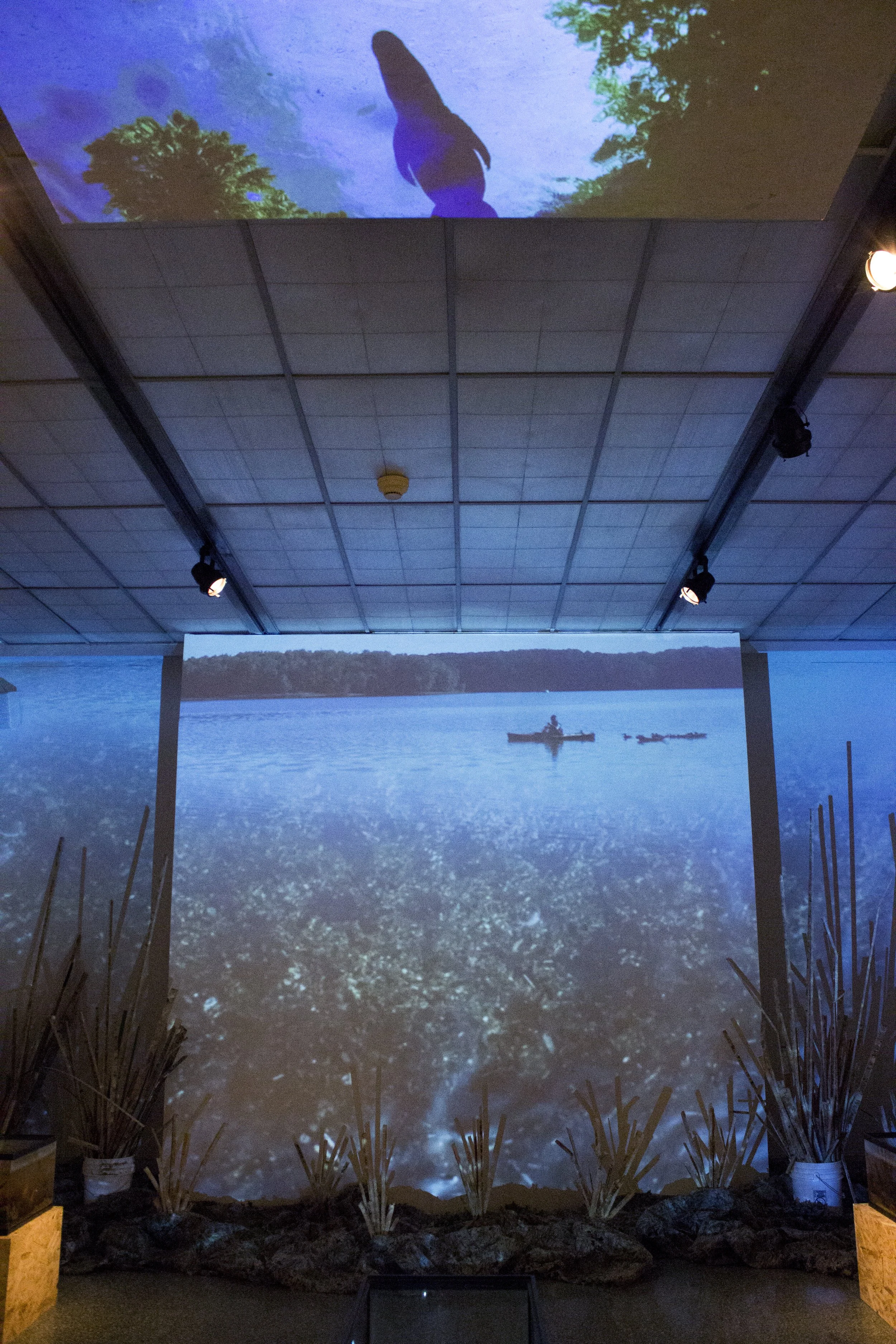 History from Below ( as featured in WDGAD exhibition)