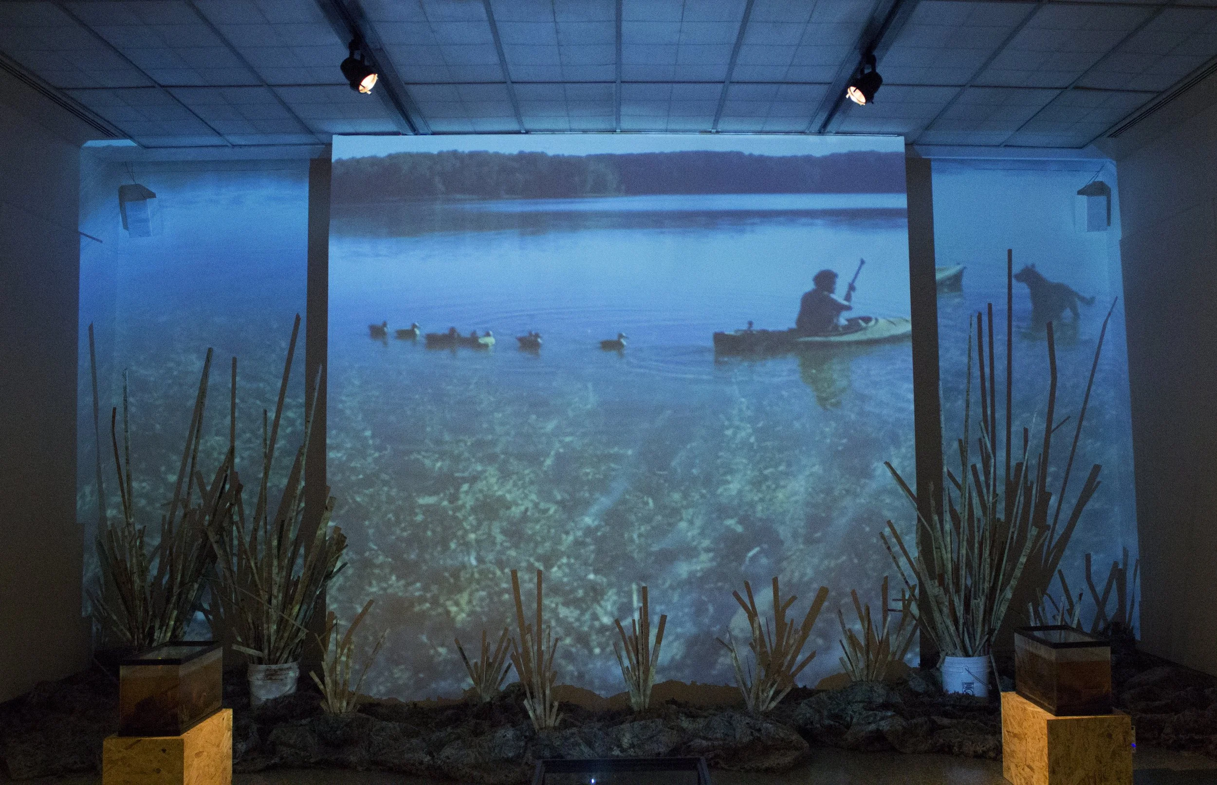Water Doesn't Give A Damn (Installation view)