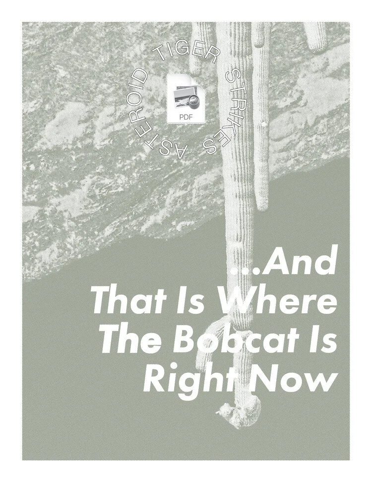 ...And That Is Where The Bobcat Is Right Now 2020