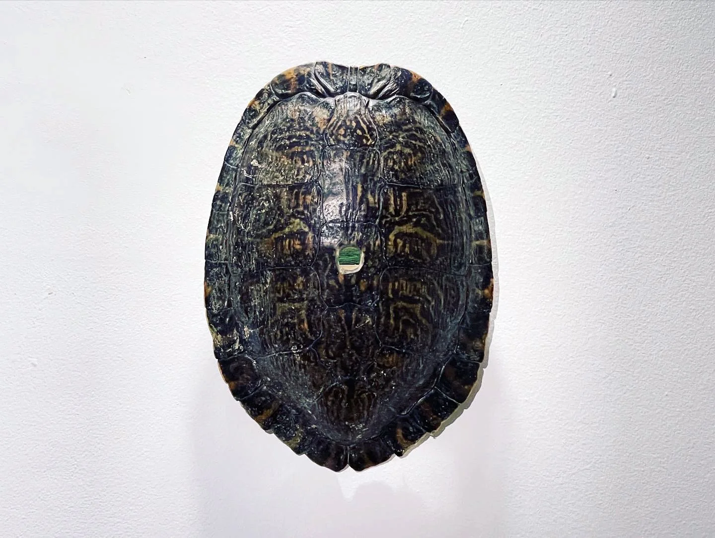 3F25B325-87AF-44B0-936C-C8C45CCC510A 2.JPG