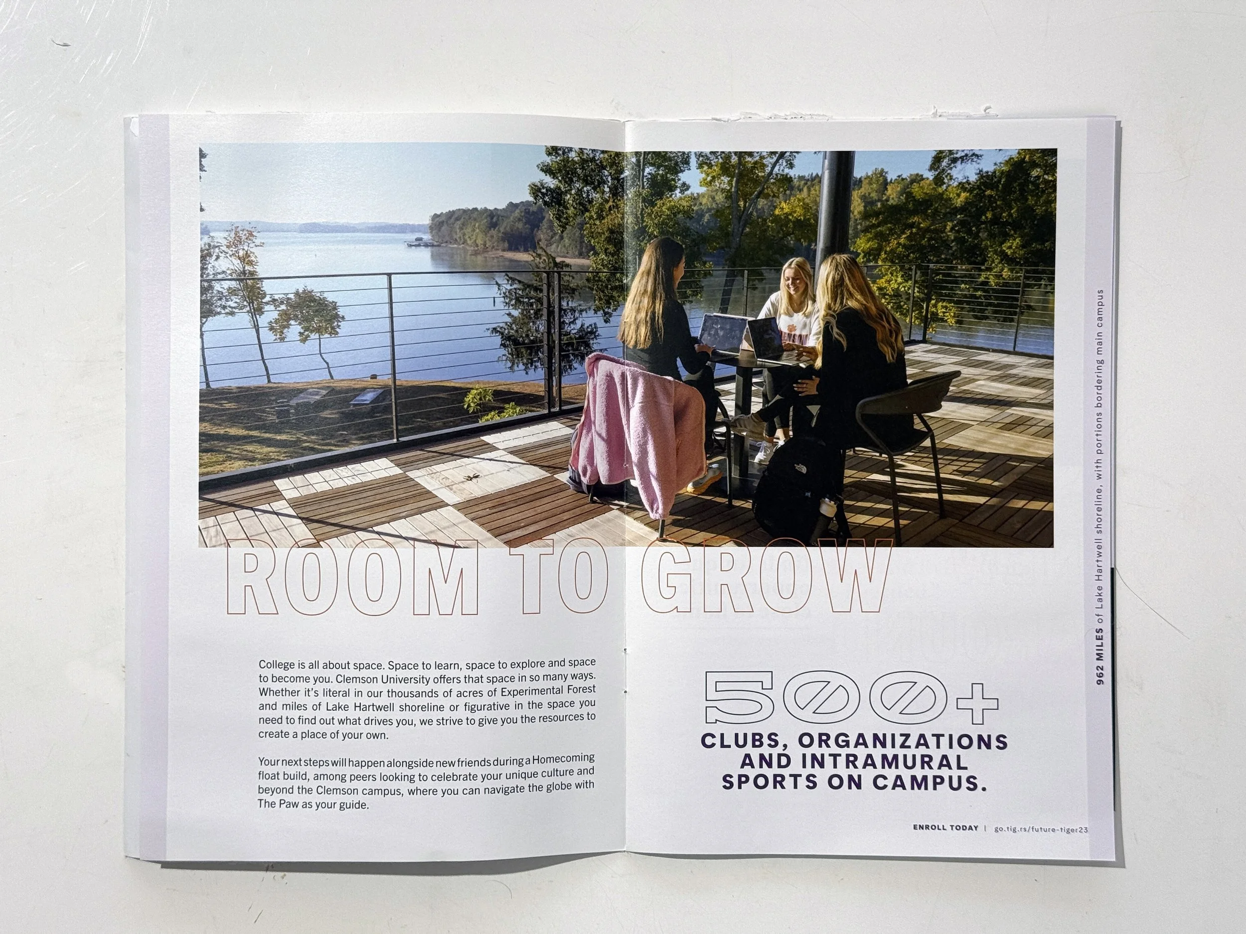 ClemsonMailer.detail03.jpg