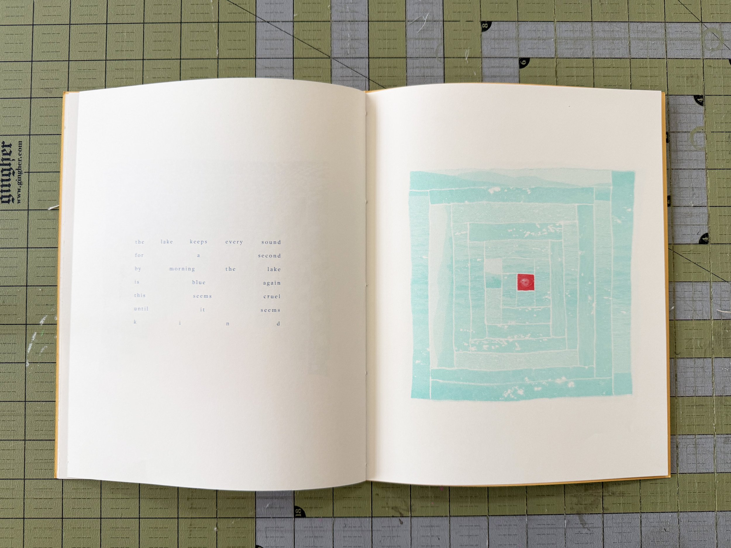 dgsg.book10.jpg