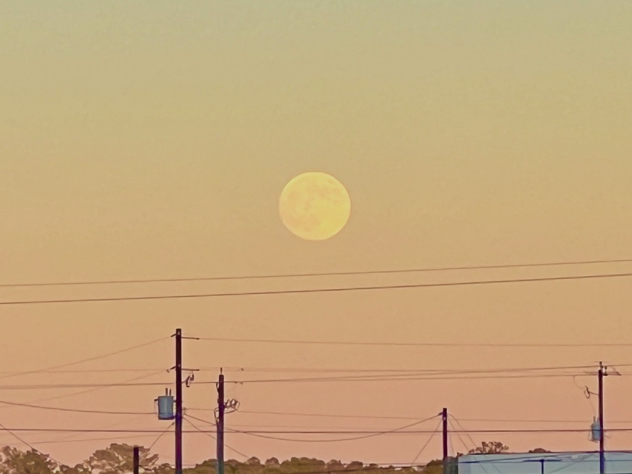 Ghost Town X West Oakland