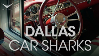 Dallas Car Sharks (Velocity)