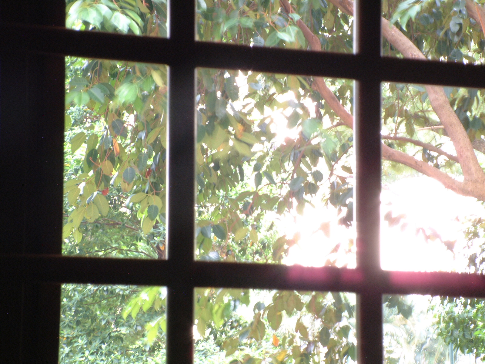 window 2