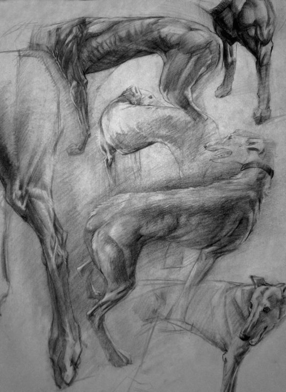 Ben I - Charcoal figure drawing and anatomy study