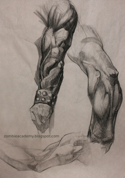 Bridgman and Frazetta anatomy study