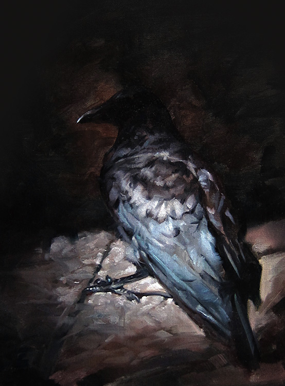 Crow