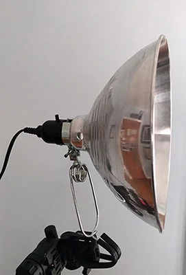My studio lights