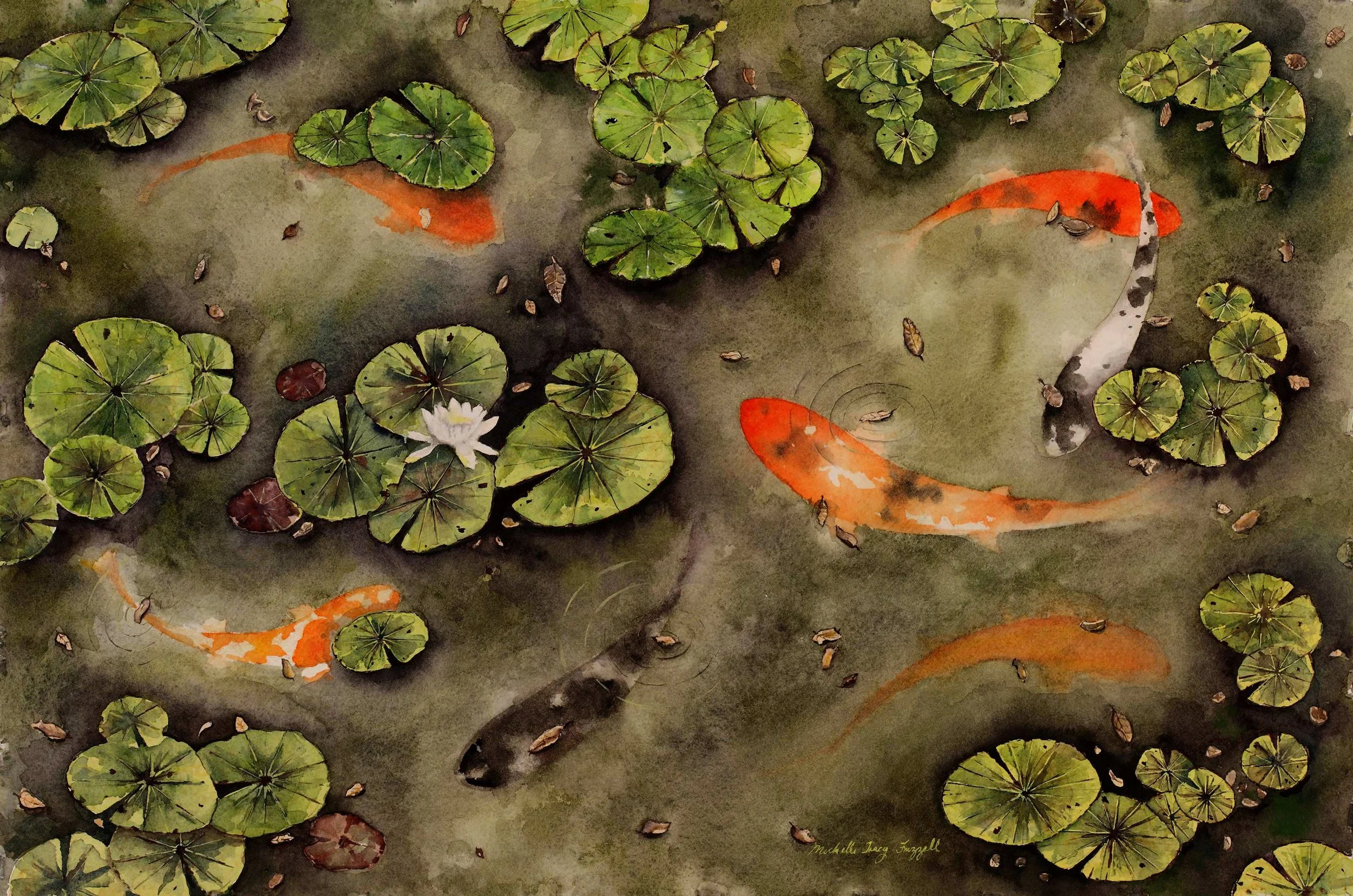 Koi Under Waterlilies