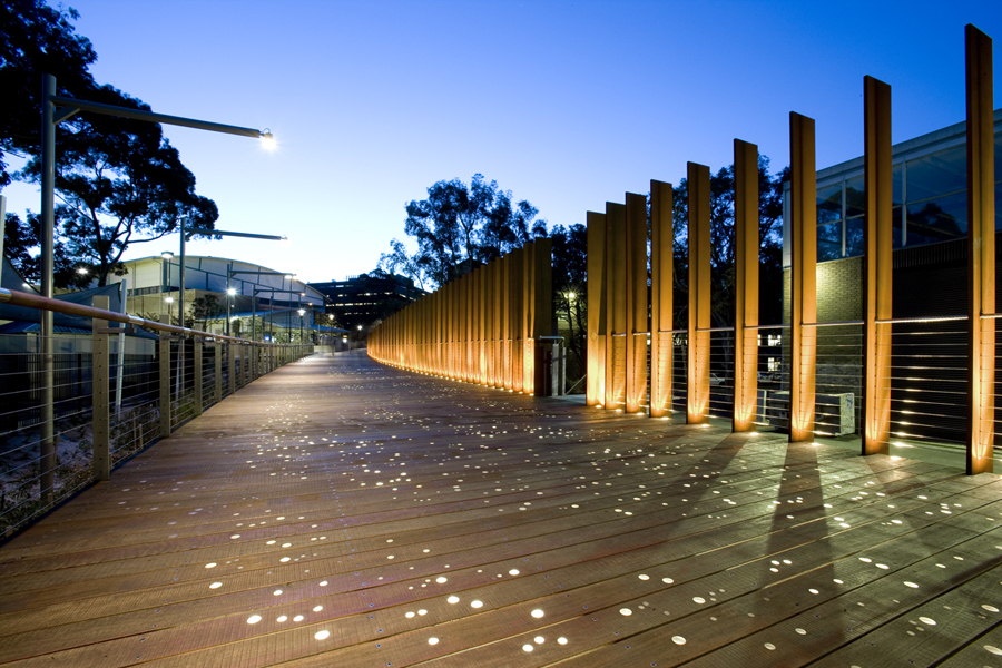 Boardwalk_I5S5875.jpg