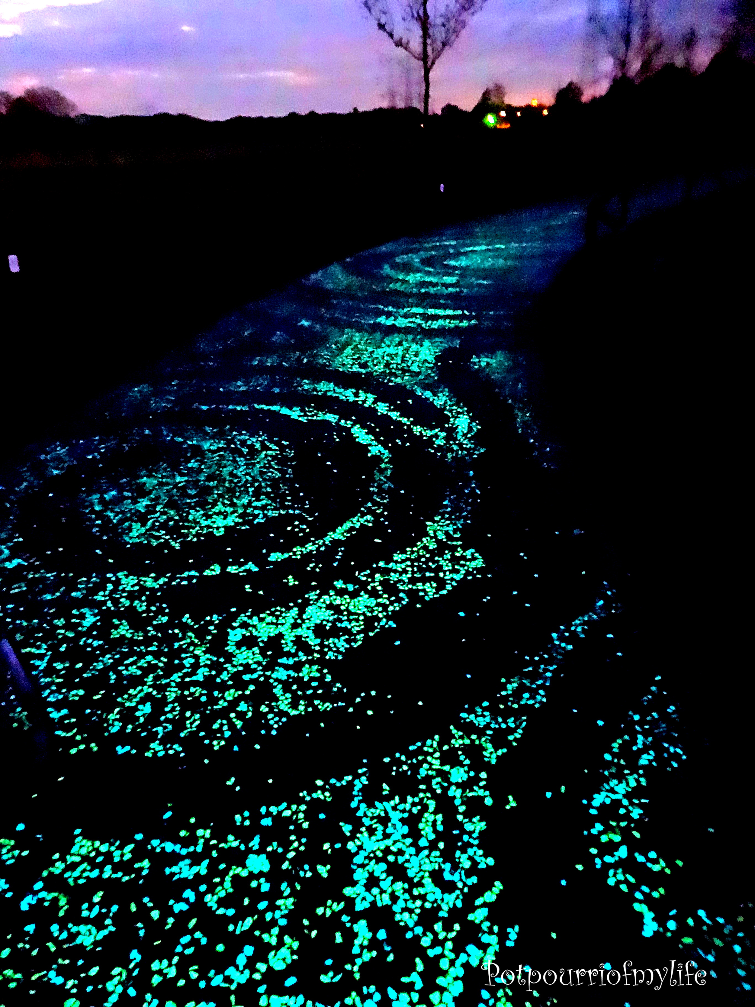 --------Studio-Roosegaarde-Solar-Bike-Path-Van-Gogh--- (1).png