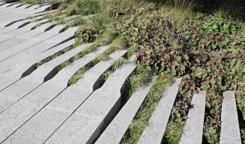 high-line-pavement-plants.jpg