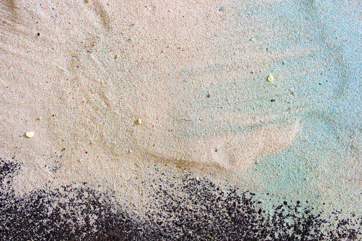 Sandhopper, 2014