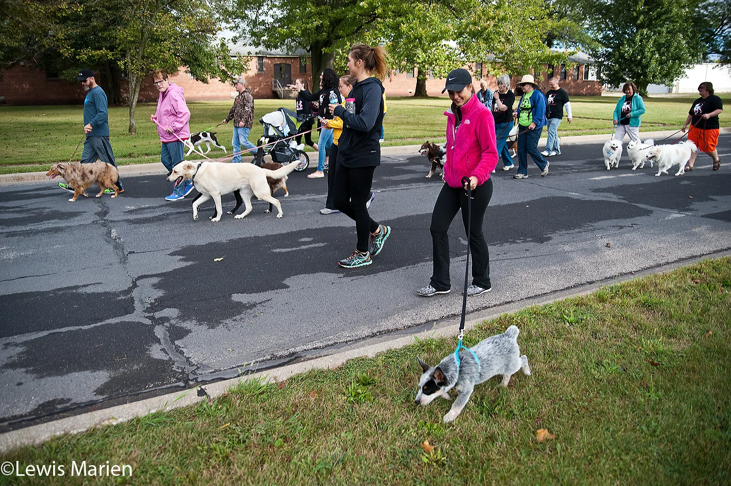 Participants walk the one-mile route during the 23rd annual Doggie Jog on Sept. 19 at the Prairieland Animal Welfare Center in Galesburg, Ill.
