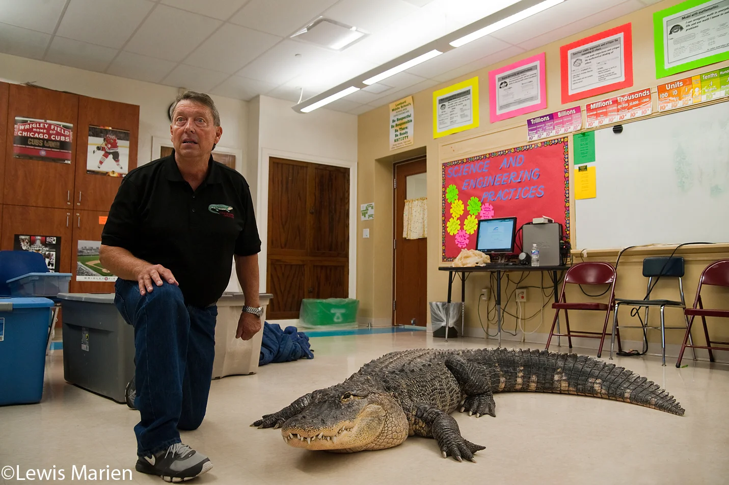Jim Nesci, of Homer Glen, Ill., shows off his near 9-foot alligator Bubba to students at Lombard Middle School in Galesburg, Ill., on Oct. 15. Nesci brought several cold blooded creatures for the students in a class to touch and get a close-up view of.