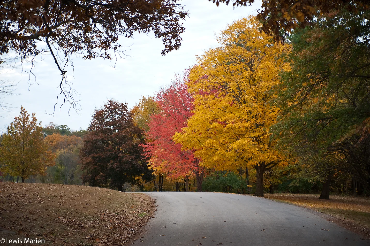Fall colors are vibrant in Monmouth Park on Oct. 22.