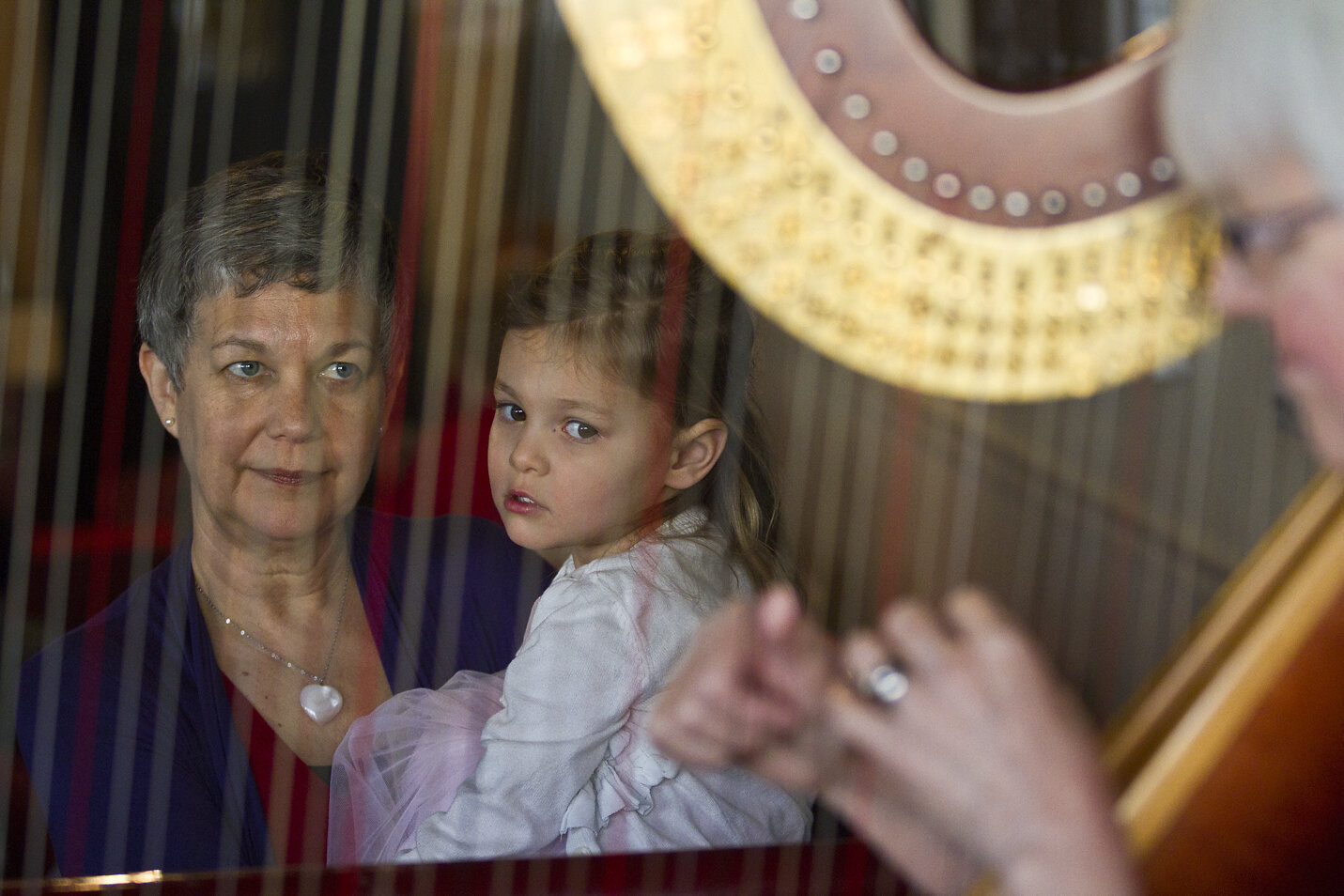  Rhonda Morgan holds her granddaughter Madilyn Carol Cass, 4, as they watch Reva Schoenwetter play the harp during the Galesburg Historical Society's 30th annual Chocolate Festival on Saturday, Feb. 13, 2016, at 156 East in Galesburg, Illinois. 