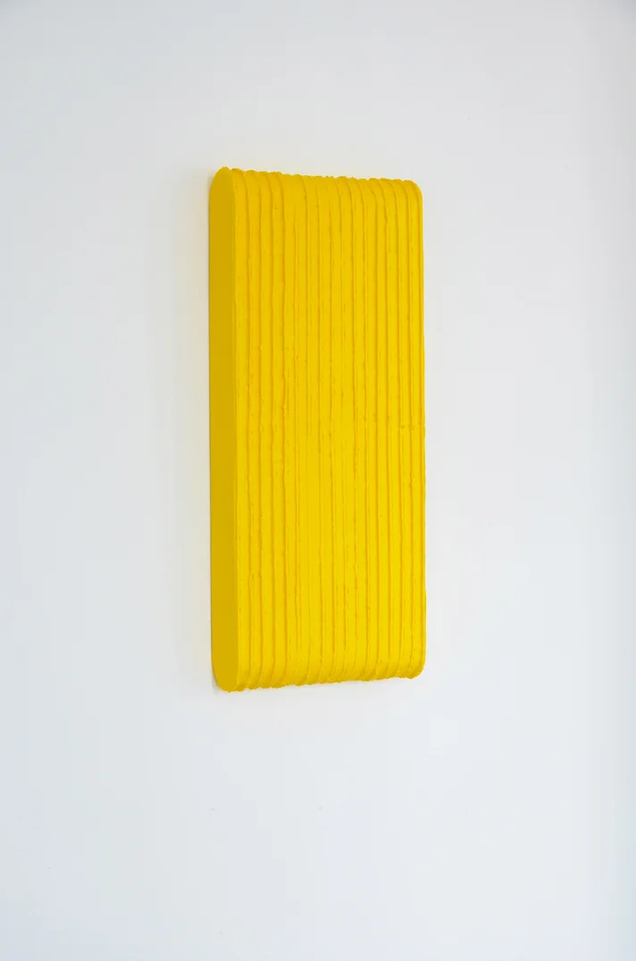 arpad_forgo_yellow-bipolar.jpg