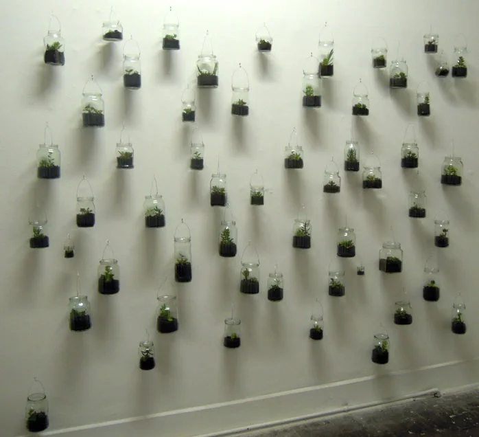 terrarium_project.jpg