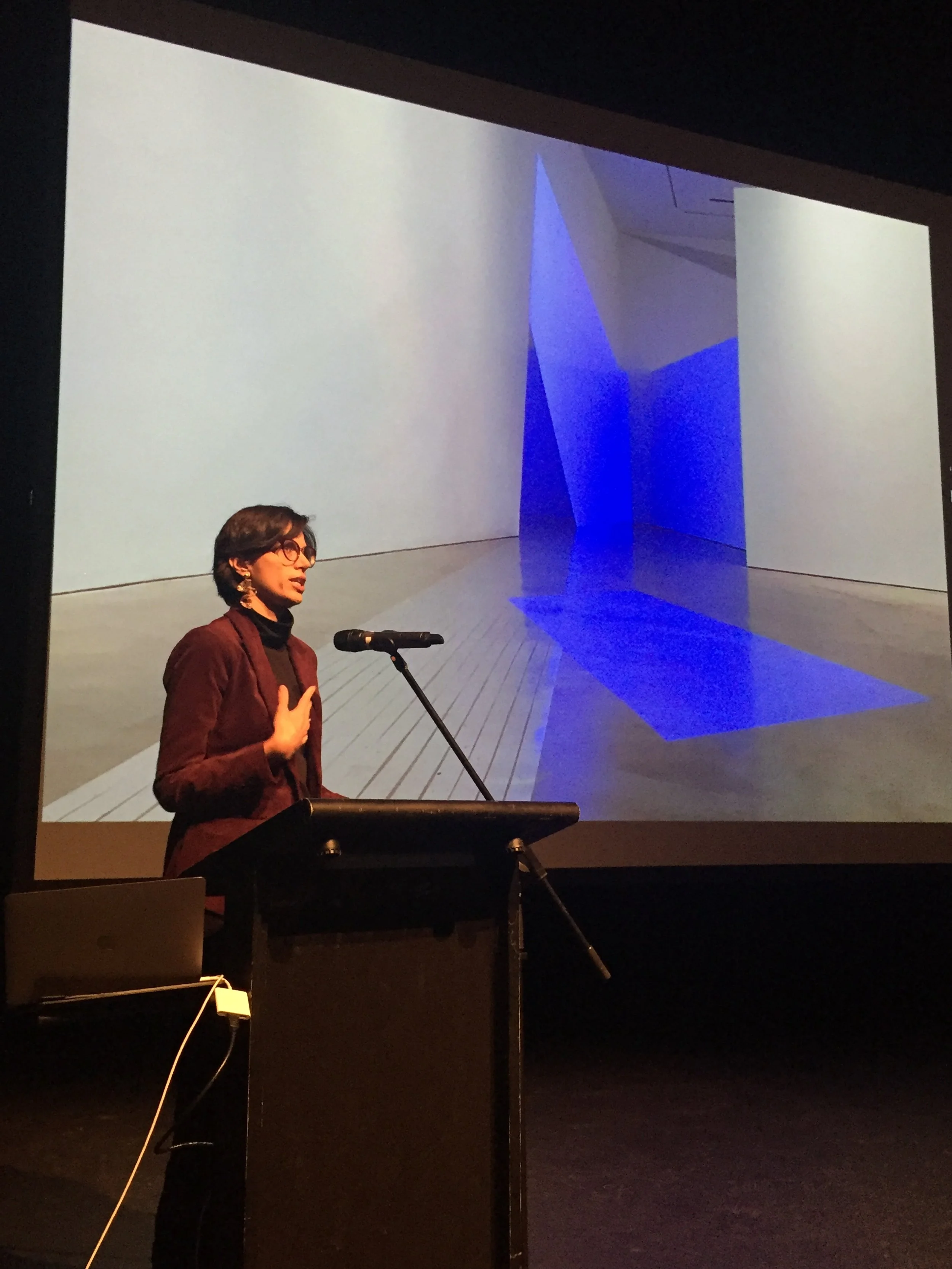 Biljana Jancic presenting.jpg