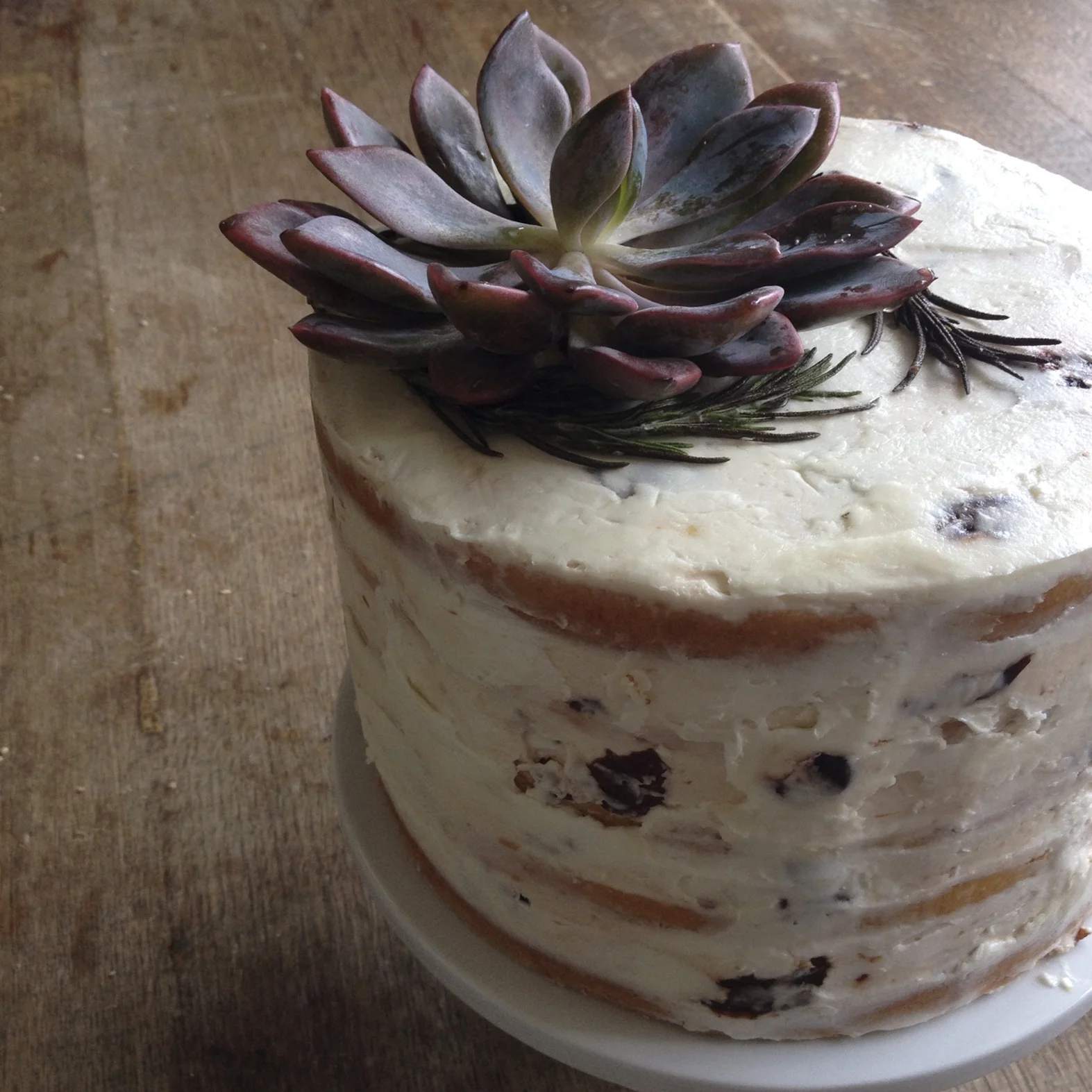 succulent cake 2.jpg