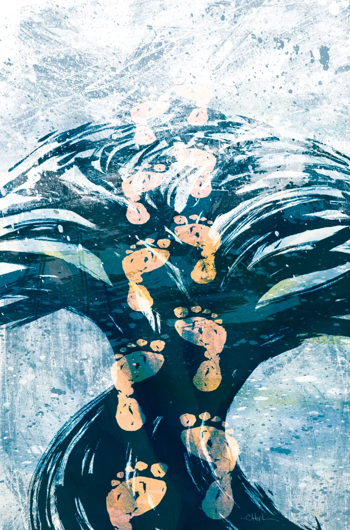 WASTELAND #52 cover