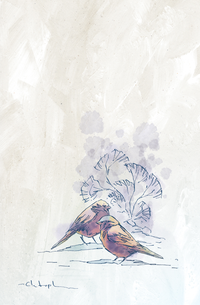 bird_sketch_color_low.jpg