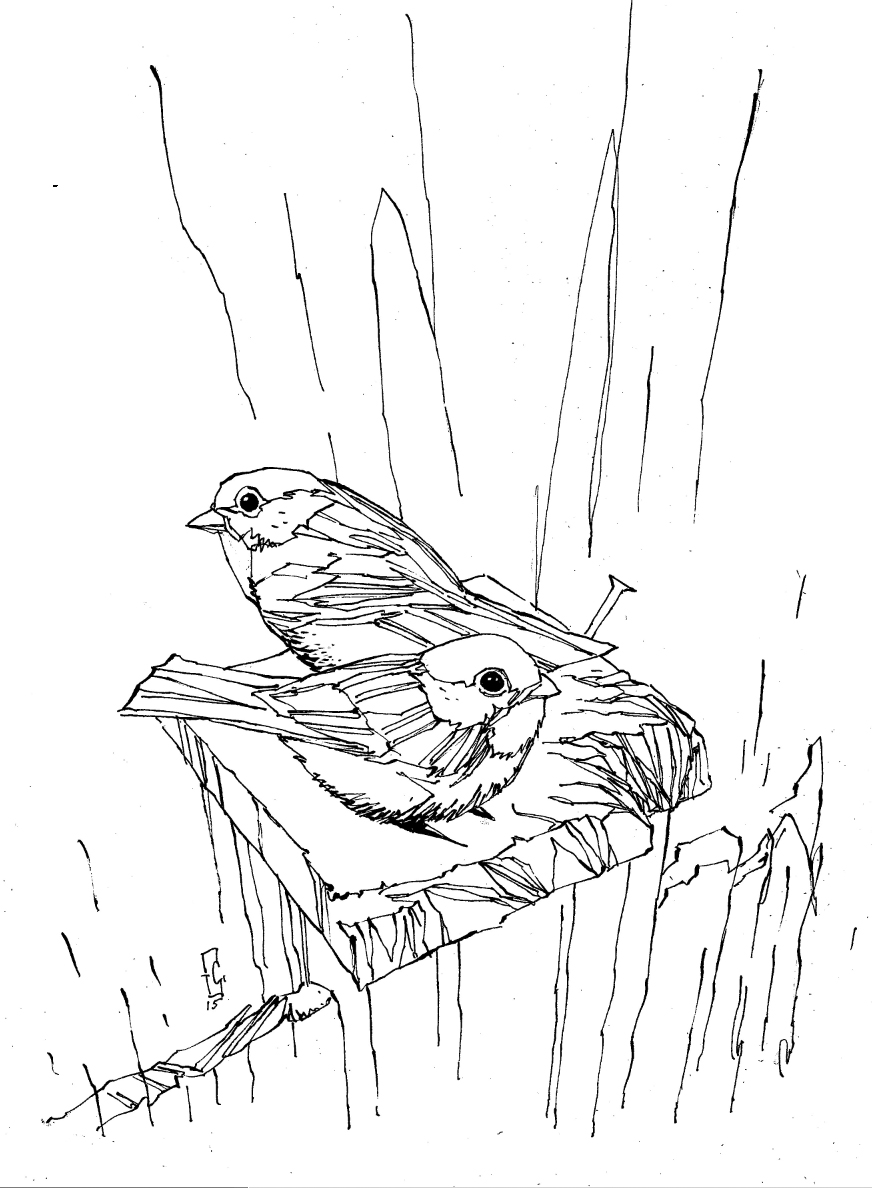 birds #2