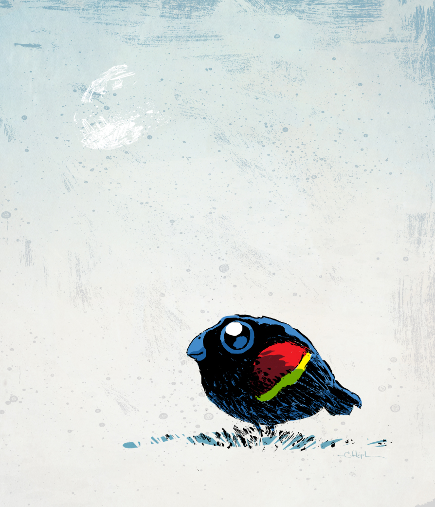 redwing blackbird