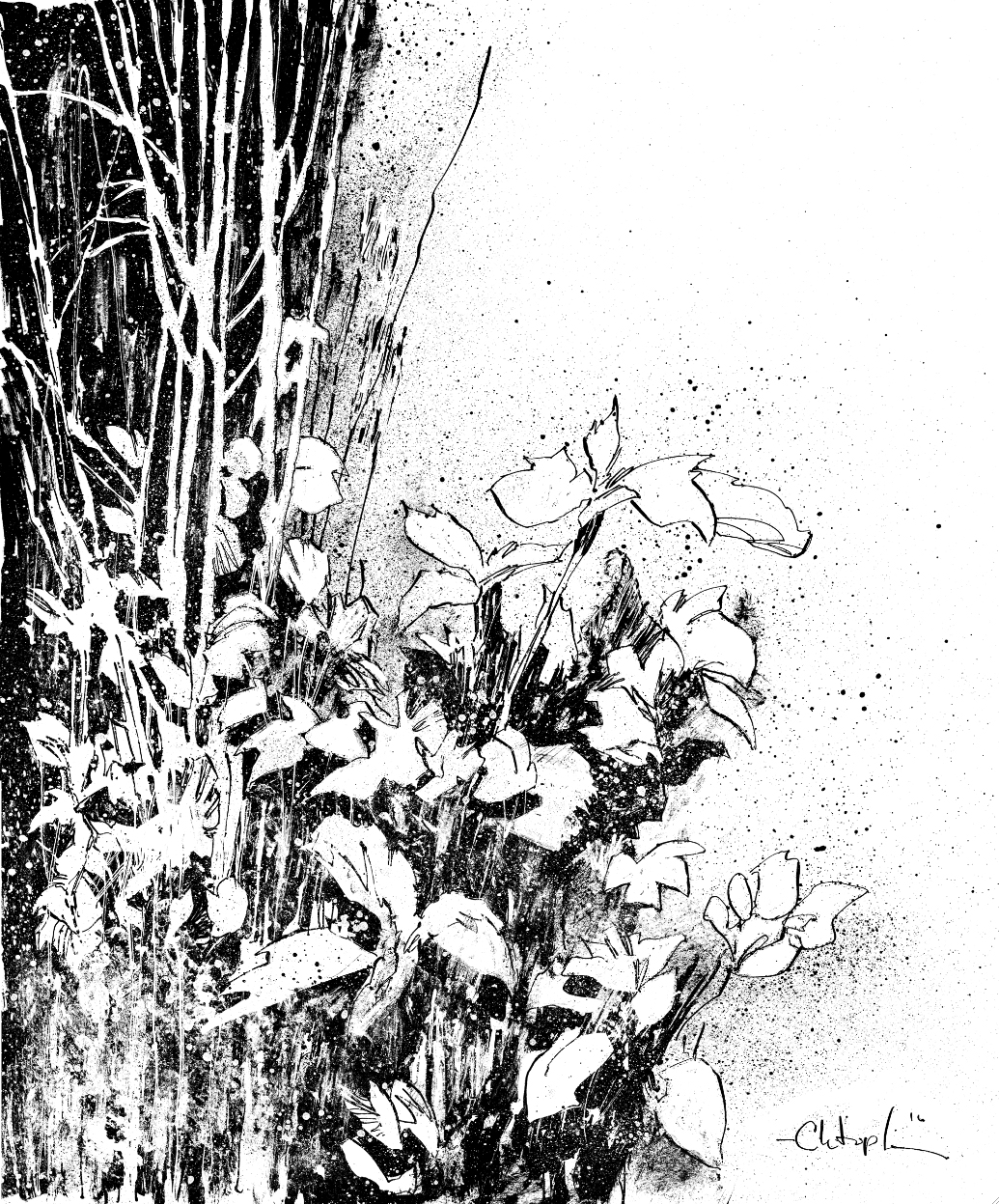 plants