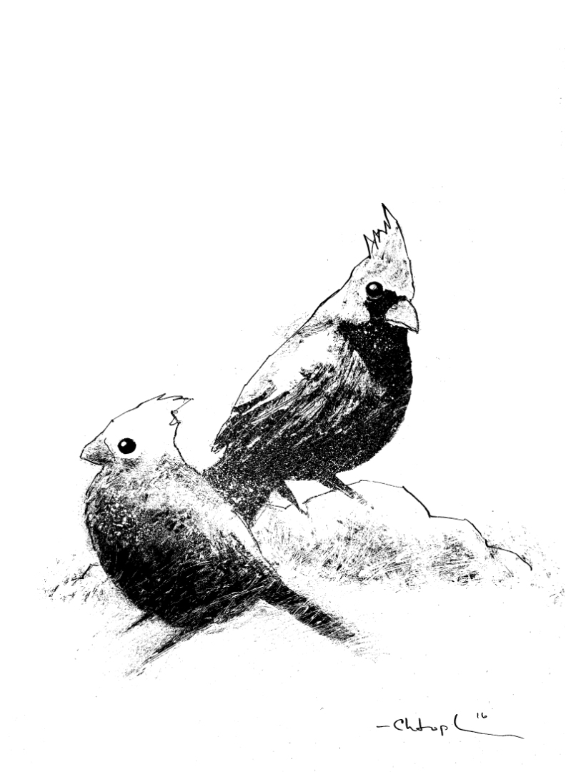 cardinals