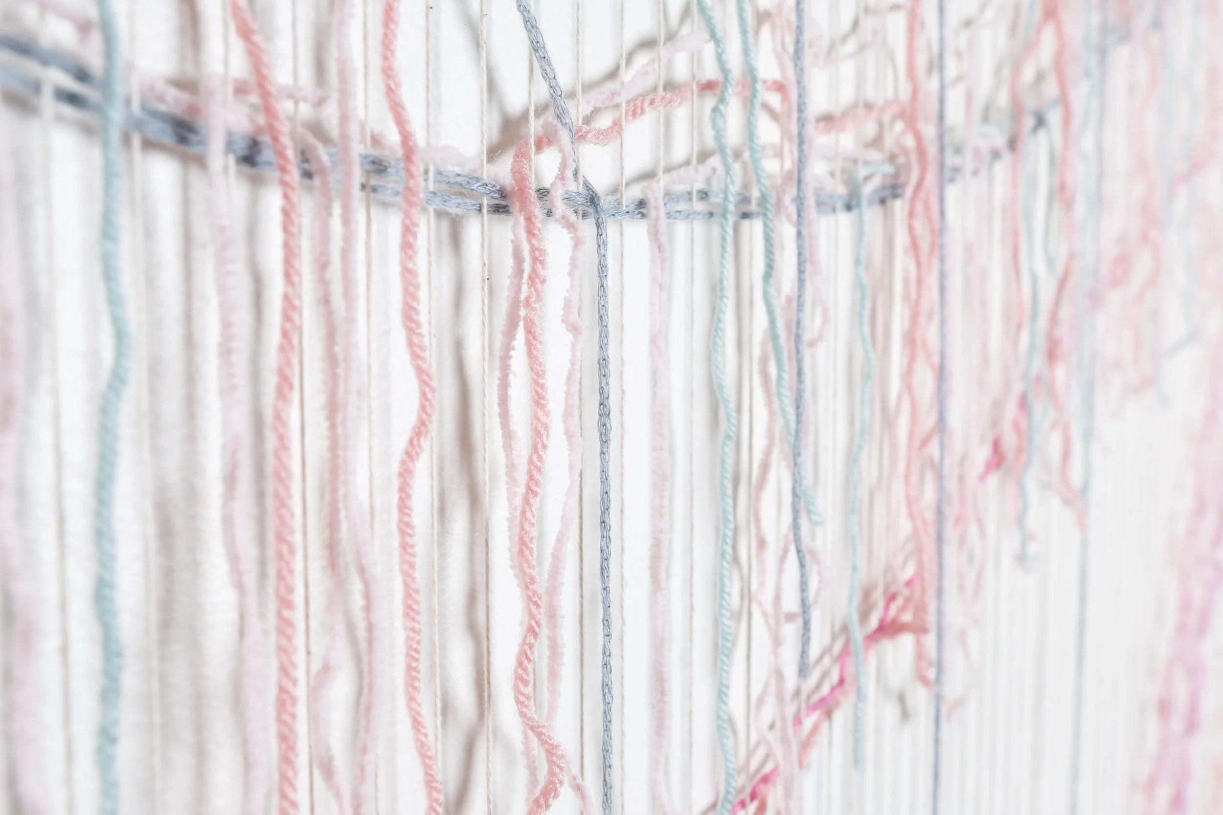 Detail of "Northern California". 2017.