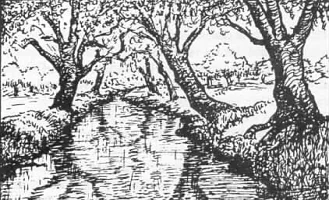 Roots.jpg