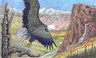 Eagle.jpg