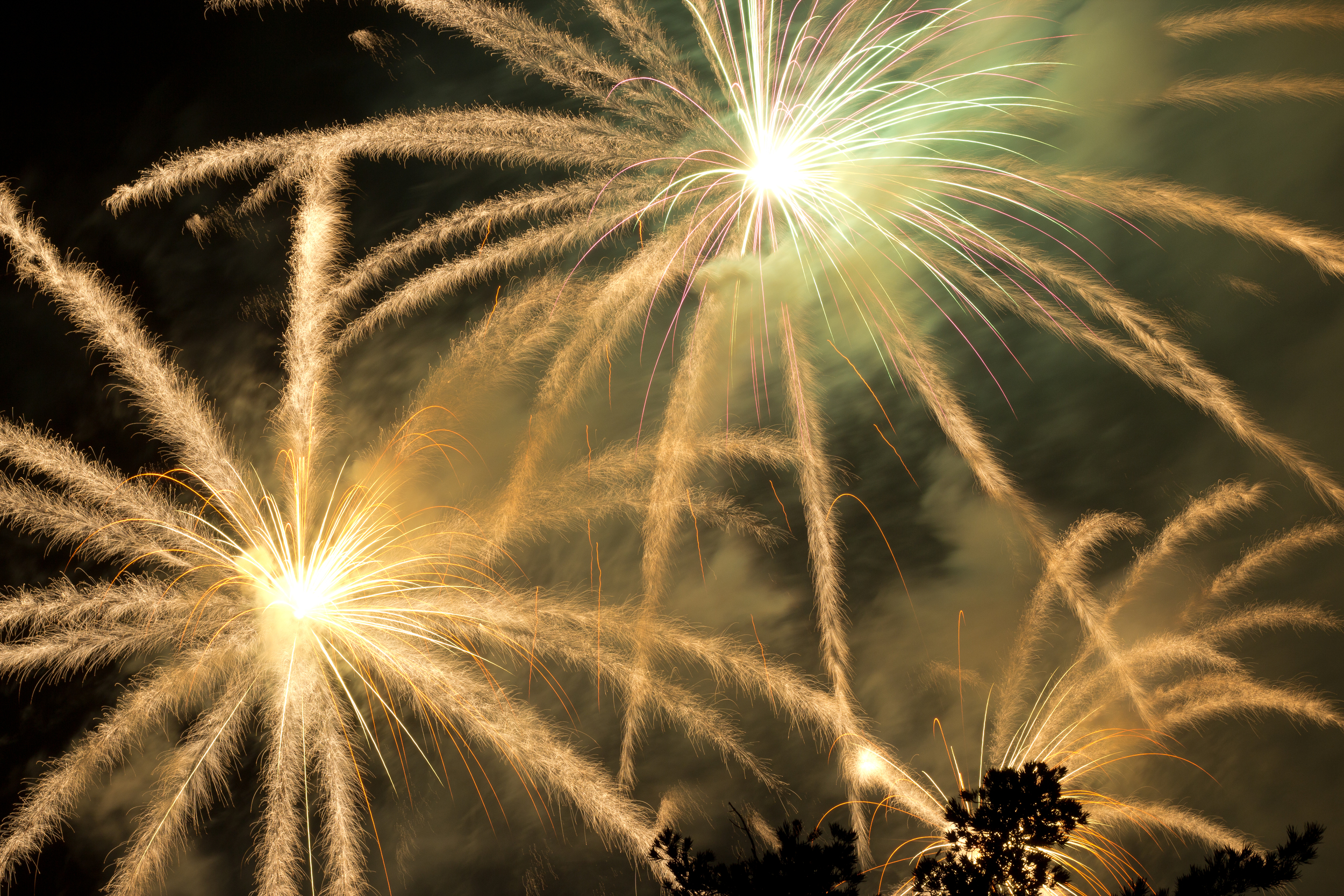 Fireworks Rose Bowl Rollie Robles.jpg