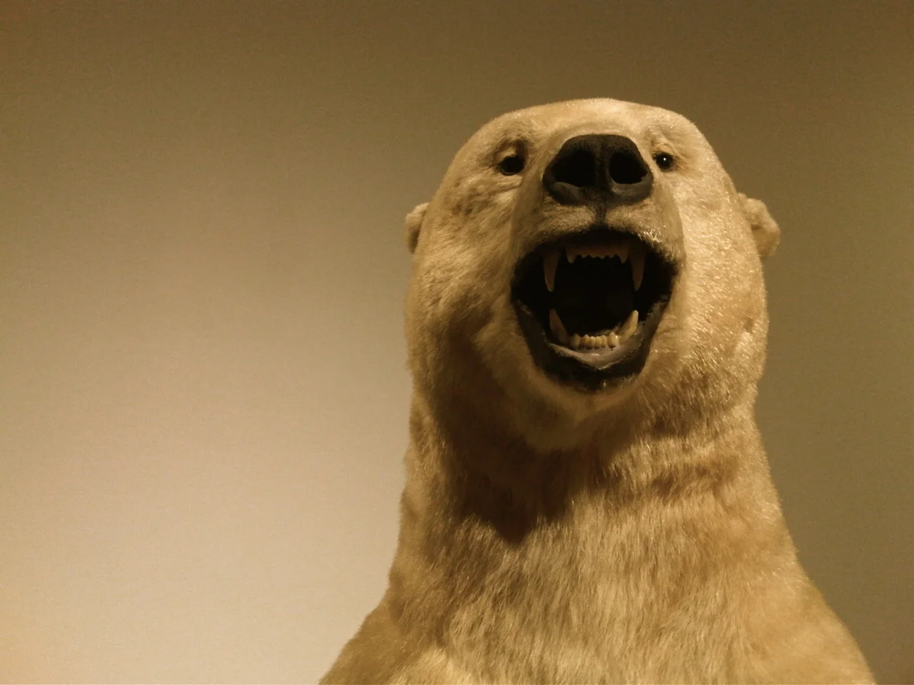 NHM. Los Angeles, CA