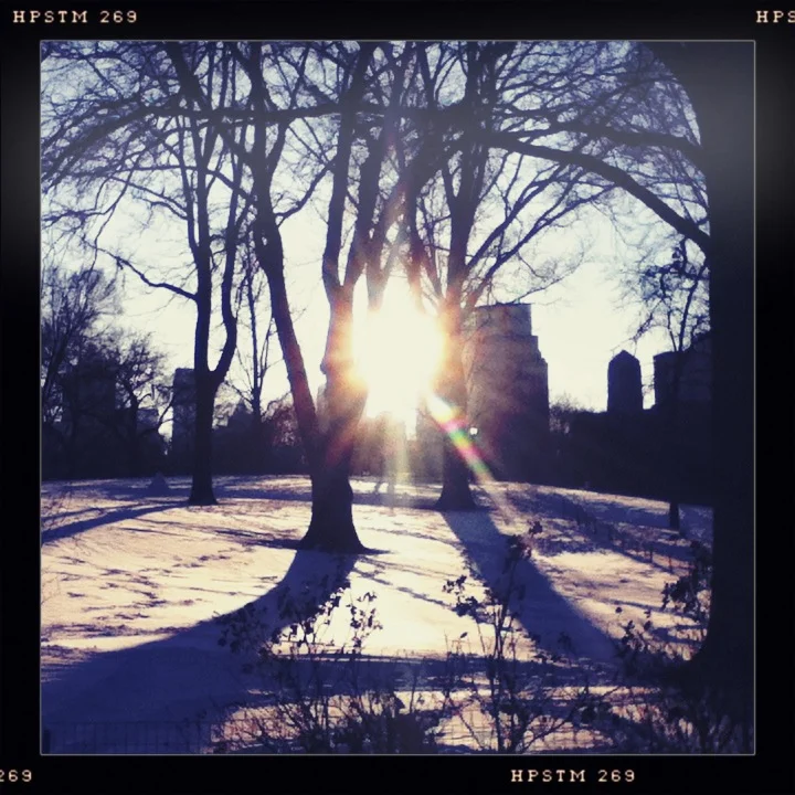 Central Park, NY