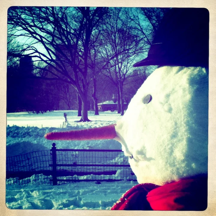 Woodrow. Central Park, NY
