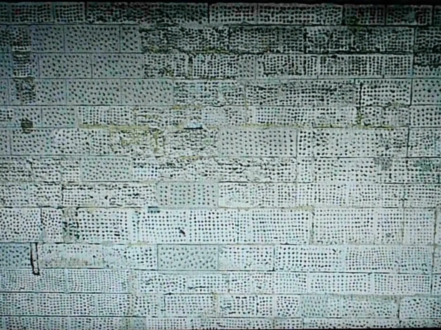 mur_photo_01.jpg