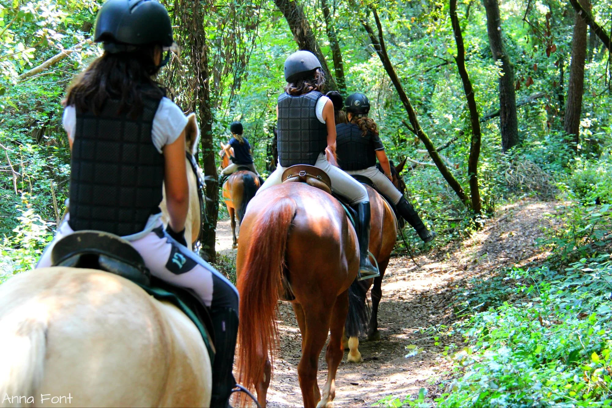 Hípica Collserola, el mejor centro para practicar la equitación con las máximas garantías de seguridad contra la Covid-19