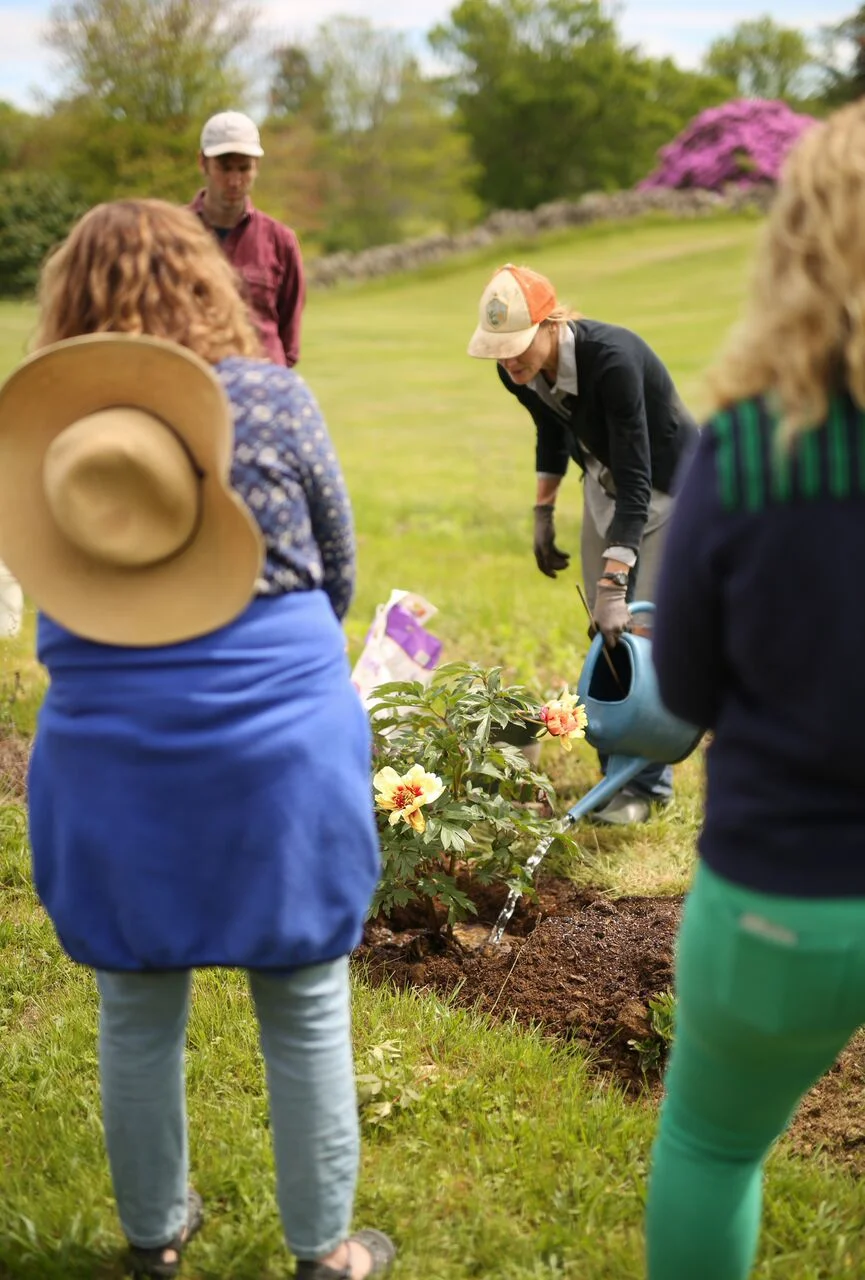 The Local Bouquet Peony Class (26 of 157).jpg