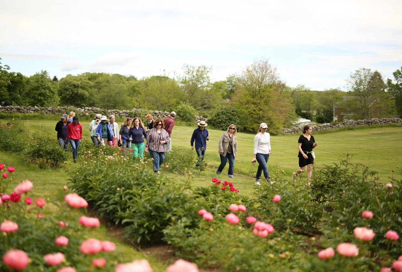 The Local Bouquet Peony Class (45 of 157).jpg