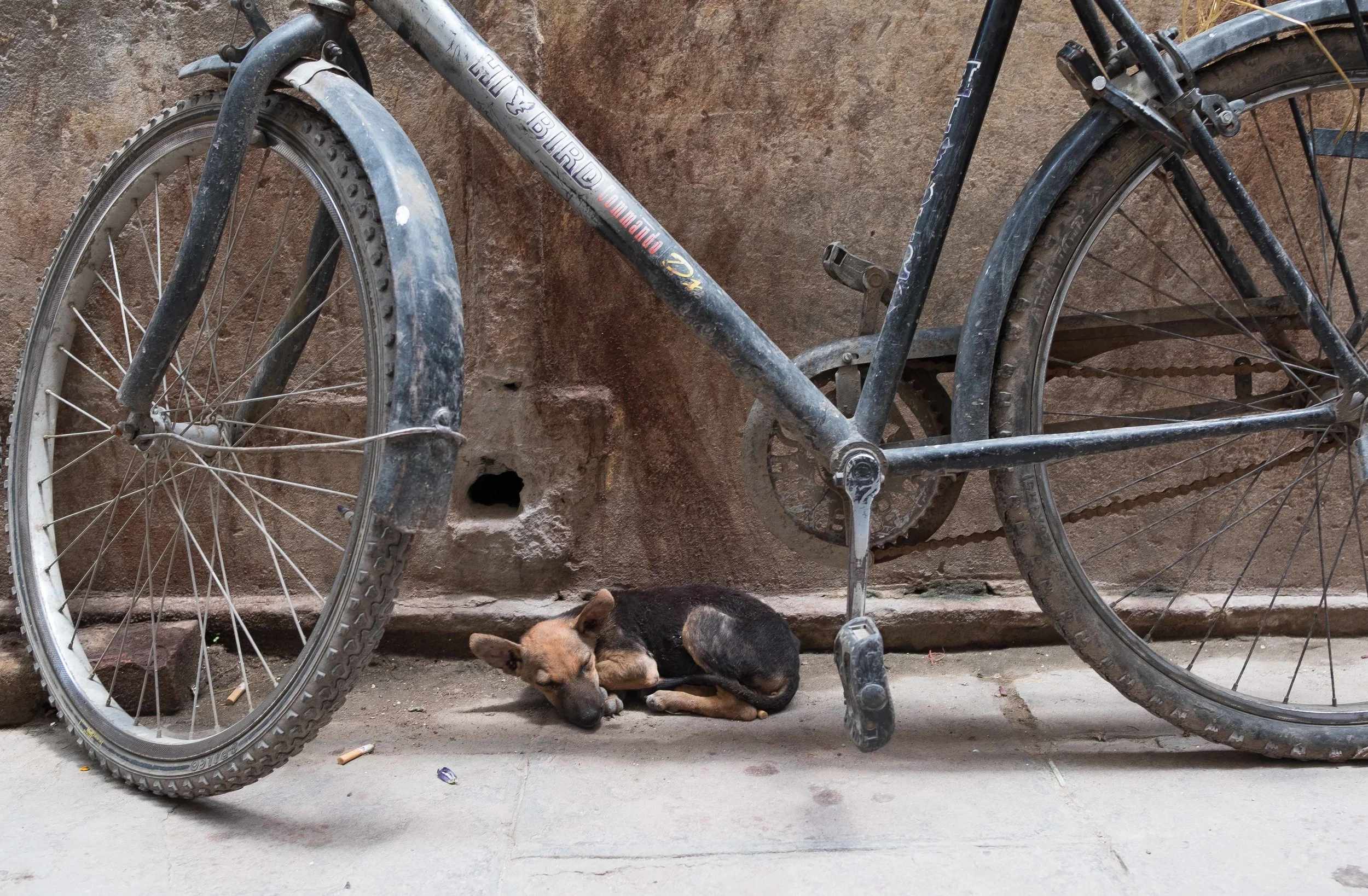 Varanasi, India, 2018